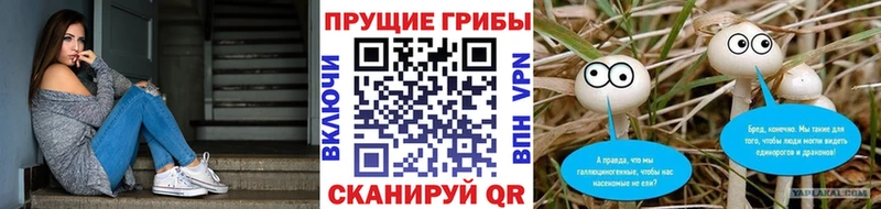 наркошоп  Луза  ссылка на мегу сайт  Галлюциногенные грибы ЛСД 